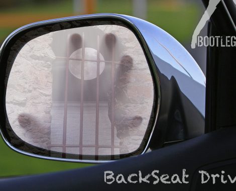 BackSeat Driver Cover